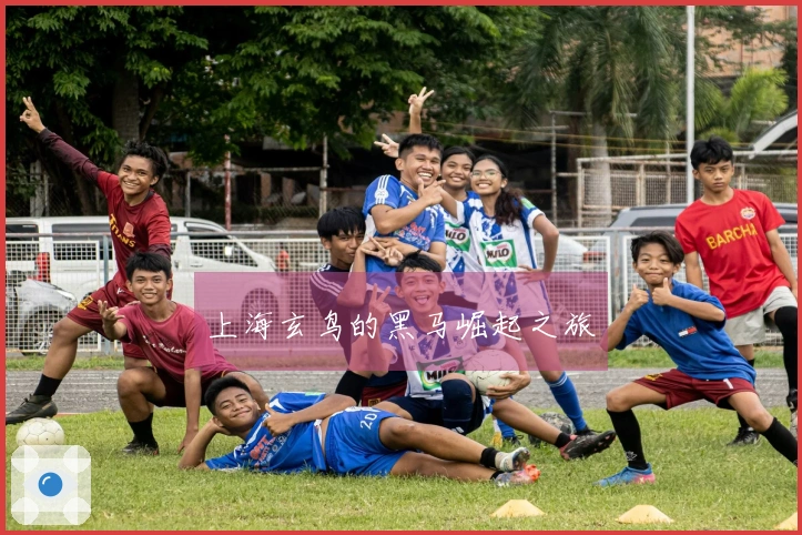 上海玄鸟的黑马崛起之旅