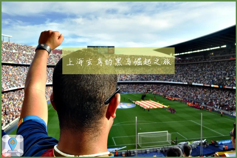 上海玄鸟的黑马崛起之旅