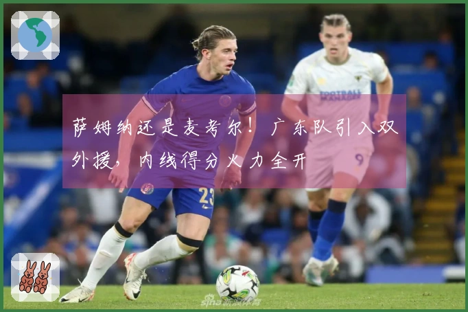 萨姆纳还是麦考尔！广东队引入双外援，内线得分火力全开